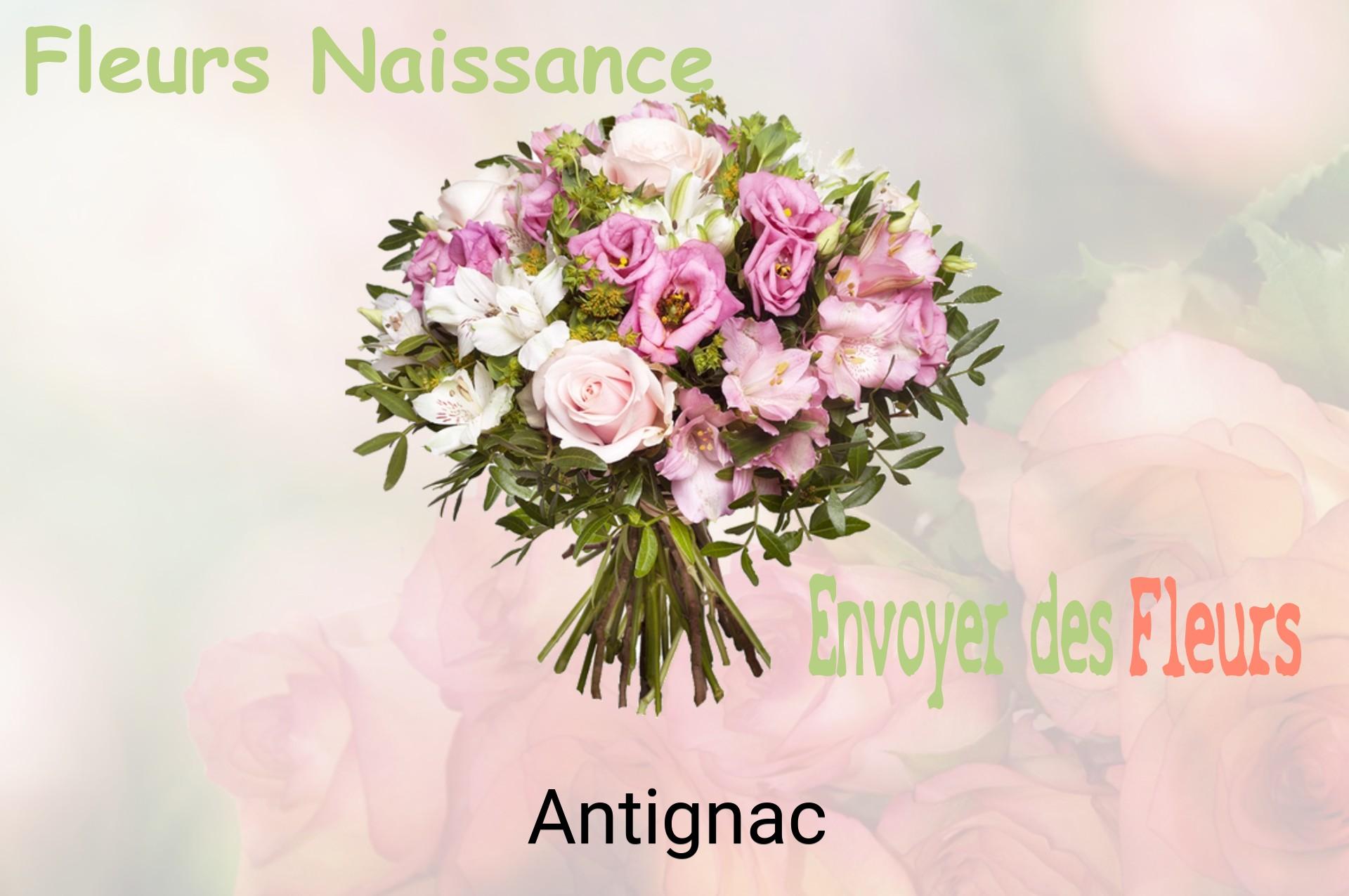 Bouquet de fleurs de naissance livré à Antignac